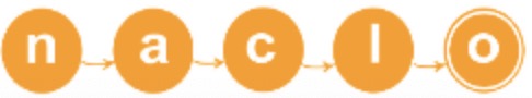 North American Computational Linguistics Open Competition (NACLO)