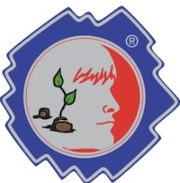 Odyssey of the Mind (OM)