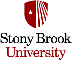 Simons Summer Research Program